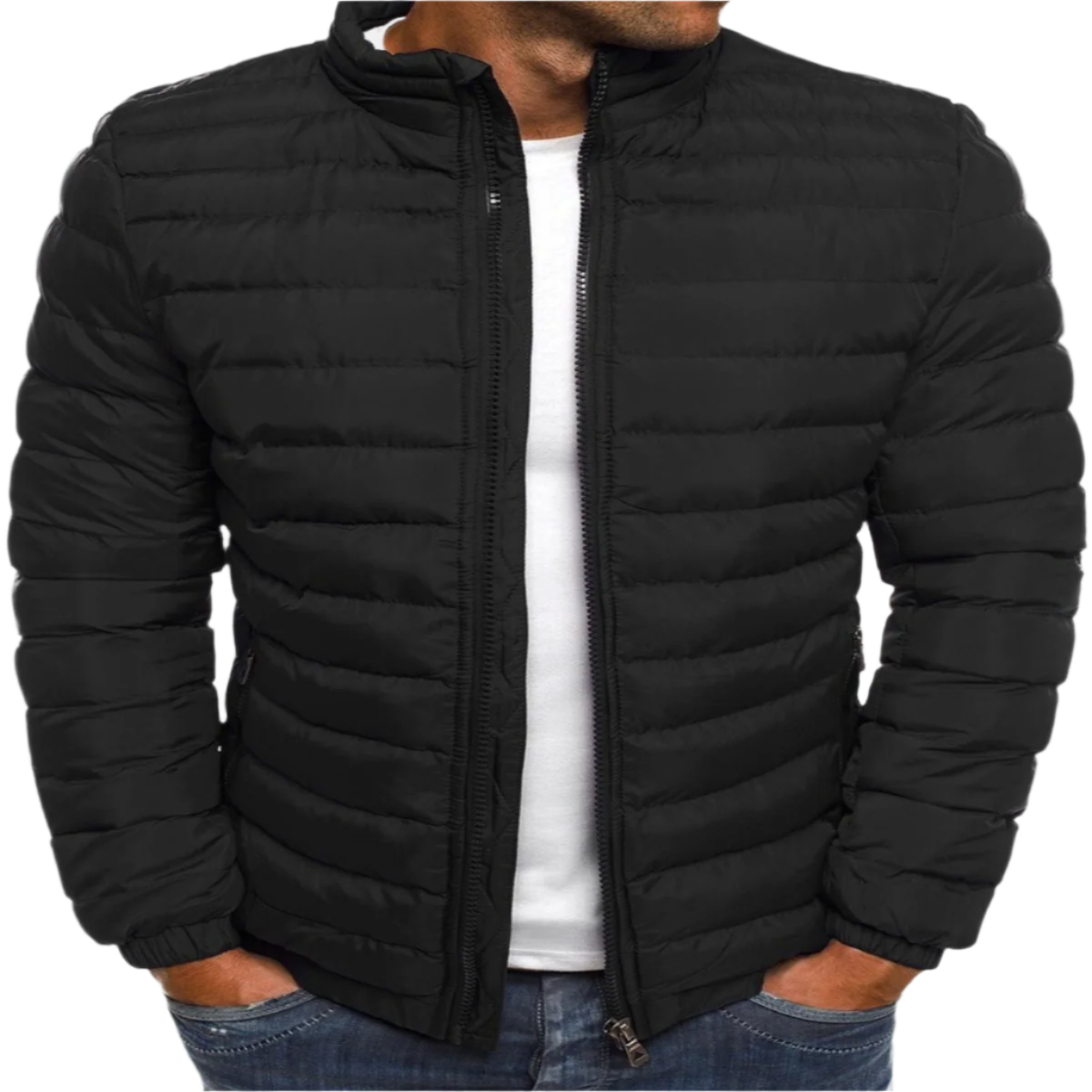 Manuel Veste Matelassée pour Homme